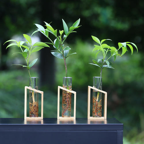 植物冠層分析儀 植物冠層分析儀