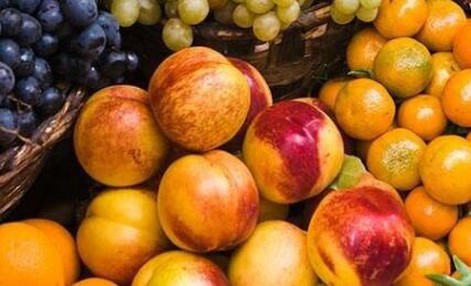 果蔬呼吸測定儀