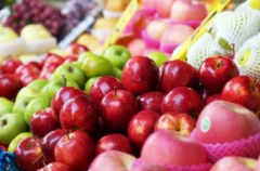 果蔬呼吸測定儀延長果蔬儲(chǔ)藏時(shí)間